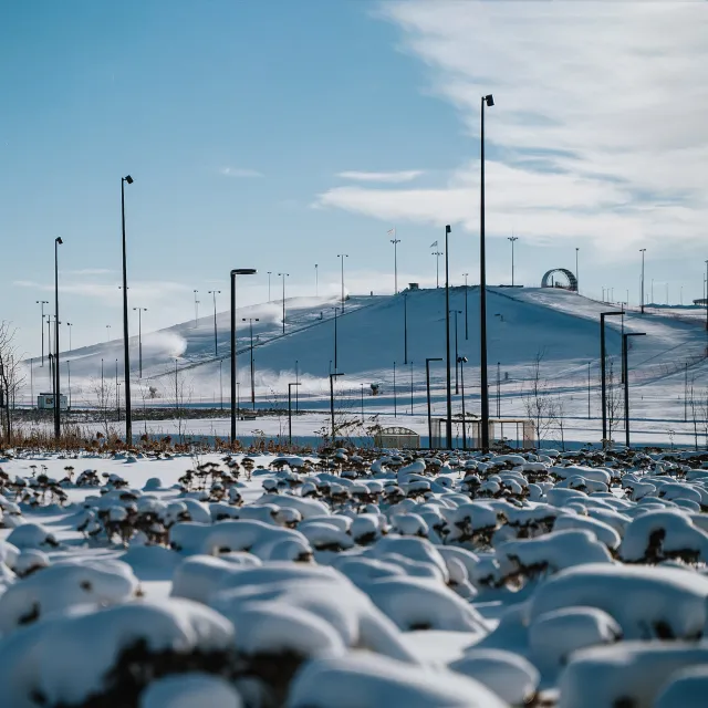 Сезон зимних видов спорта завершён